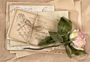 0845 Сухая роза на старых почтовых открытках